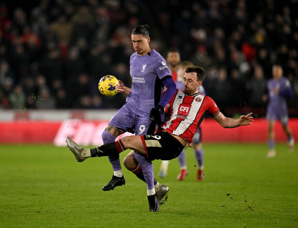 两国展示了 两国展示了