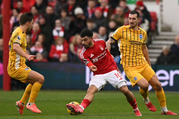 上展示了其 上展示了其